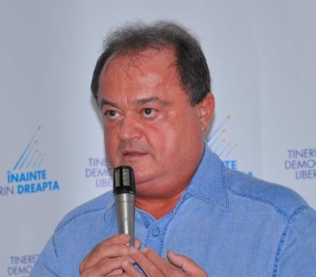Vasile Blaga critică 
